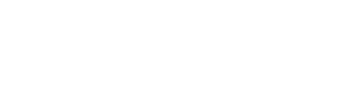 logo light